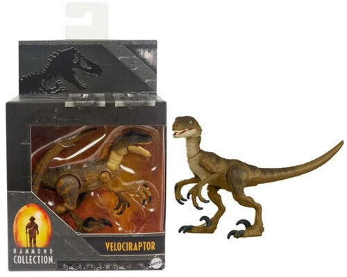 Mattel - Jurassic World Hammond Collection Velociraptor